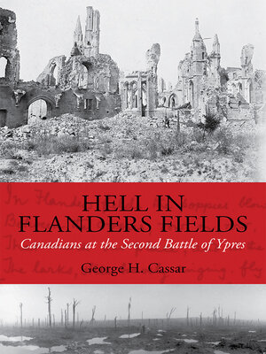Hell in Flanders Fields - ebook